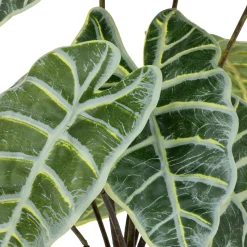 Alocasia artificiel*ATMOSPHERA