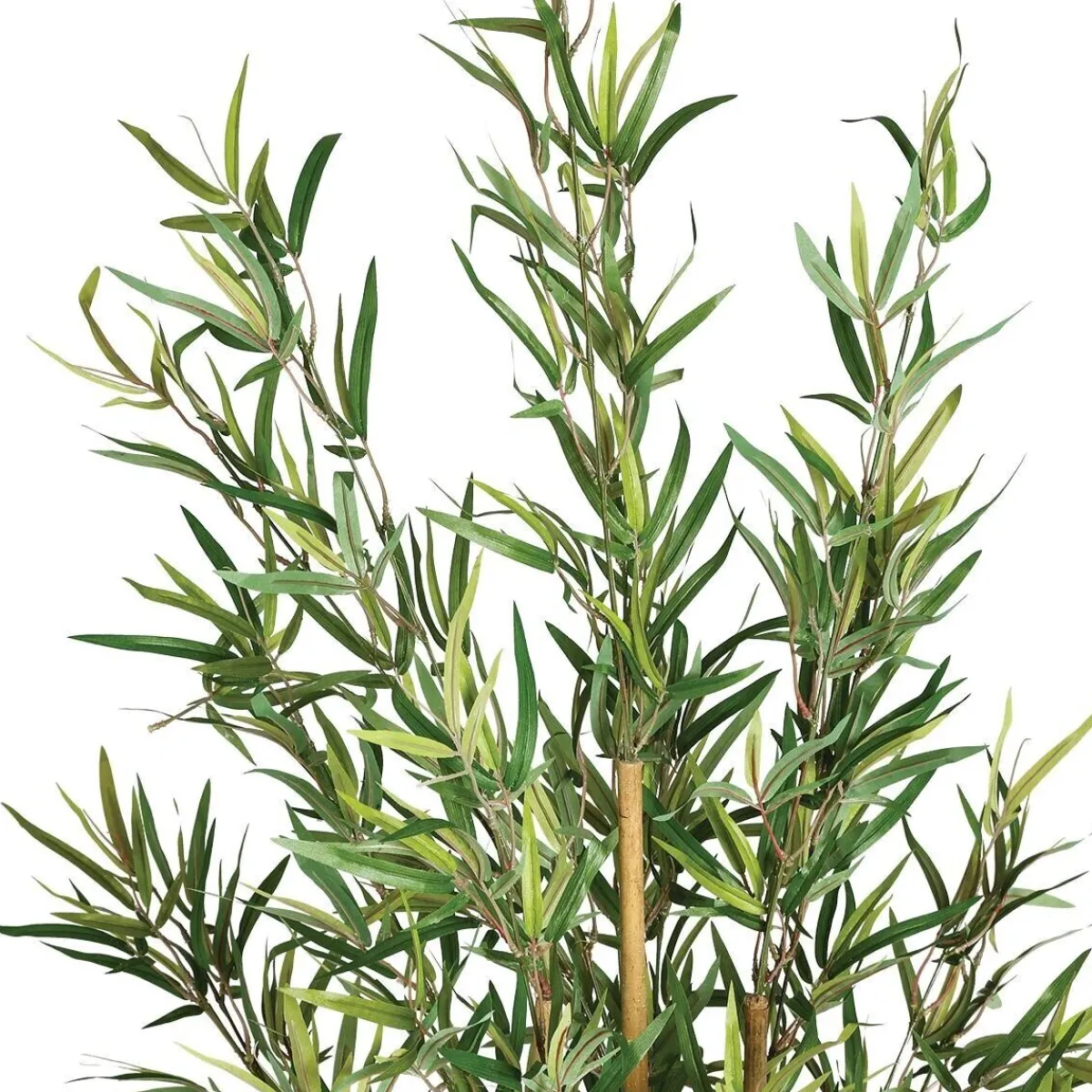 Bambou artificiel*ATMOSPHERA Discount