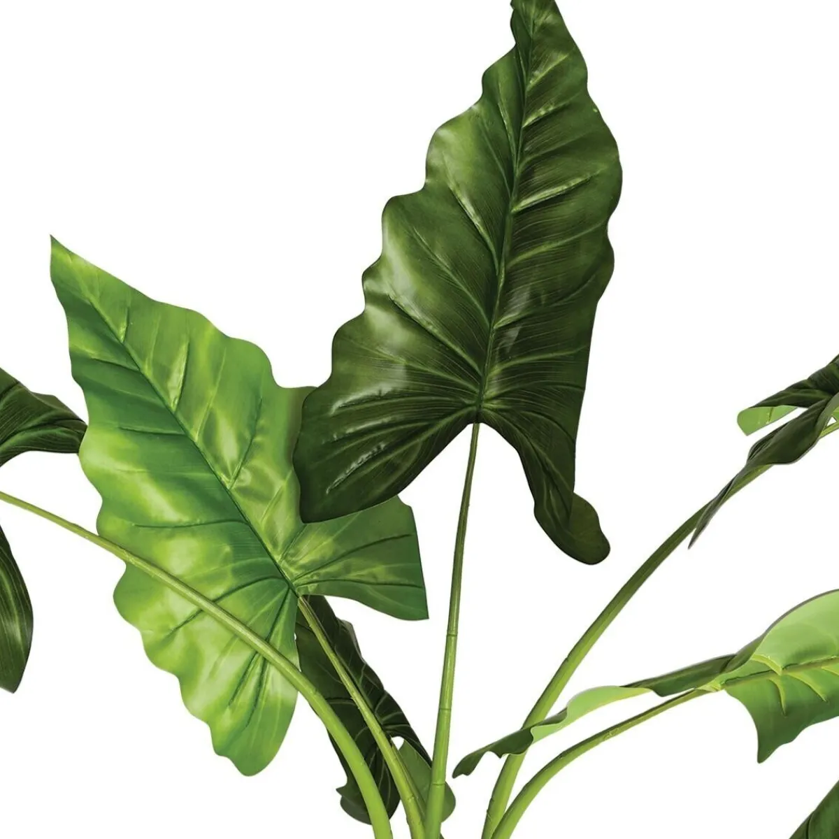 Bananier artificiel*ATMOSPHERA Best