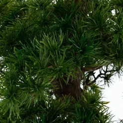 Bonsaï artificiel*ATMOSPHERA