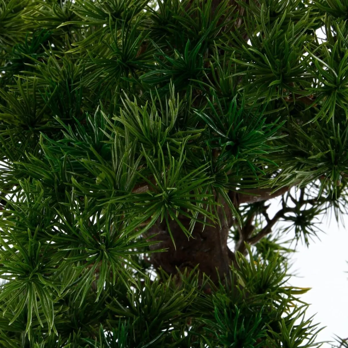 Bonsaï artificiel*ATMOSPHERA