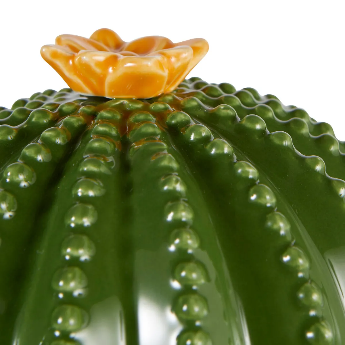 Boîte déco "Yuca"*ATMOSPHERA