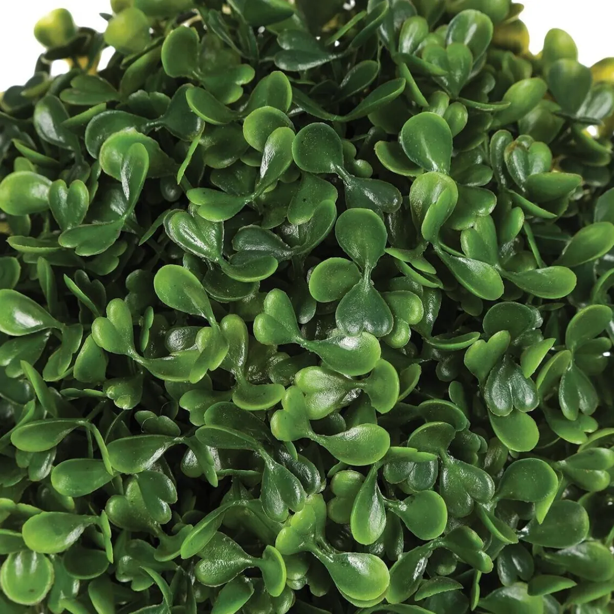 Boule de buis artificiel*ATMOSPHERA Best