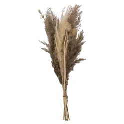 Bouquet de pampas séchées "Ori"*ATMOSPHERA Discount