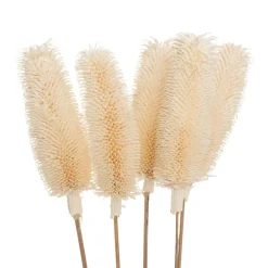 Bouquet de plantes séchées*ATMOSPHERA Online