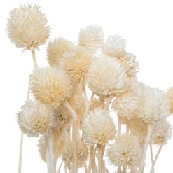 Bouquet de plantes séchées*ATMOSPHERA Online