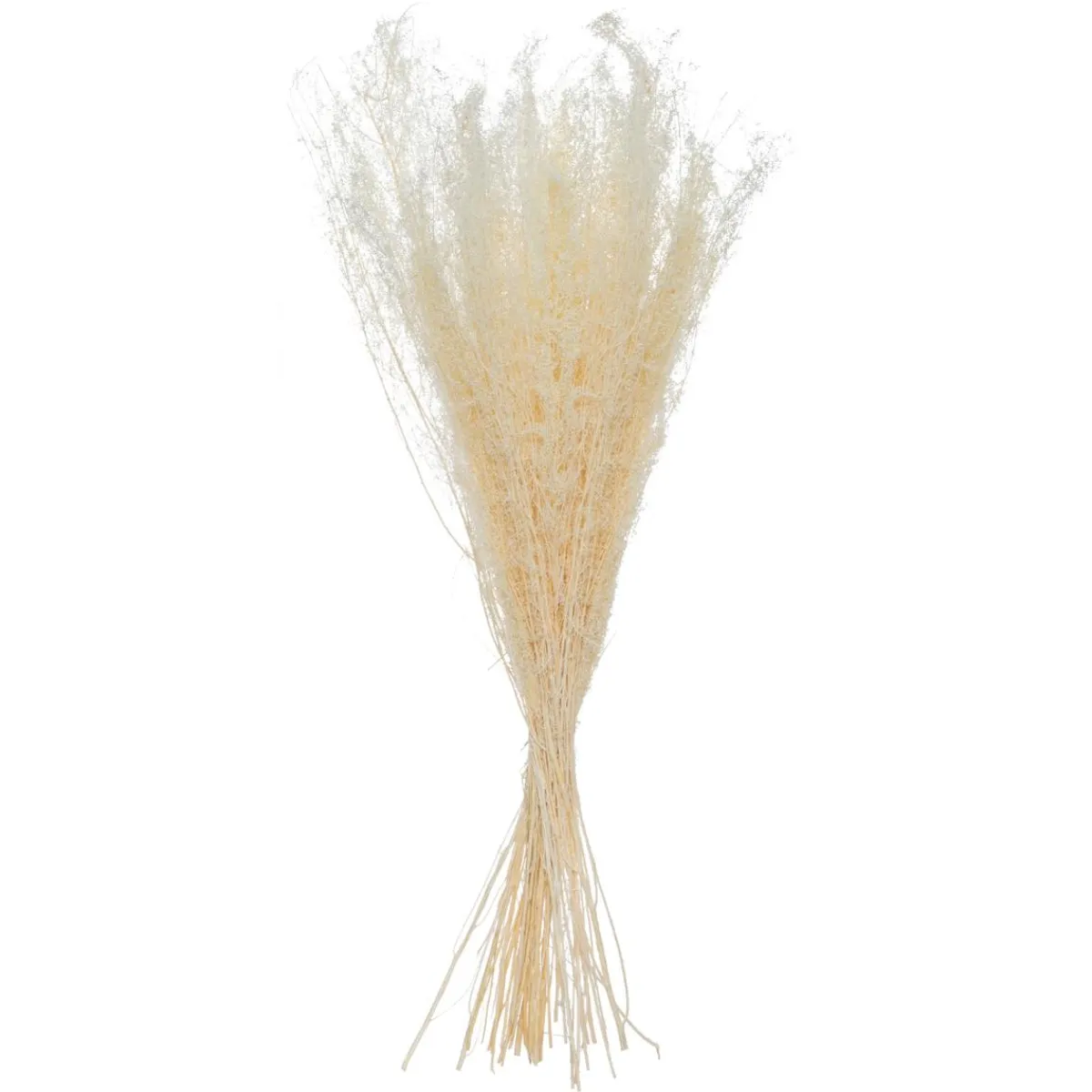 Bouquet de plantes séchées*ATMOSPHERA Online