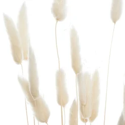 Bouquet de plantes séchées*ATMOSPHERA Online