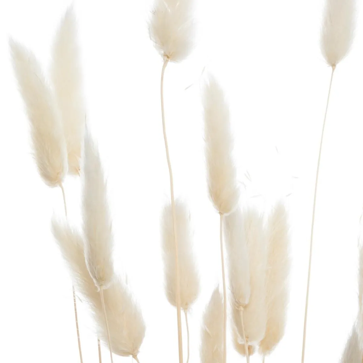 Bouquet de plantes séchées*ATMOSPHERA Online