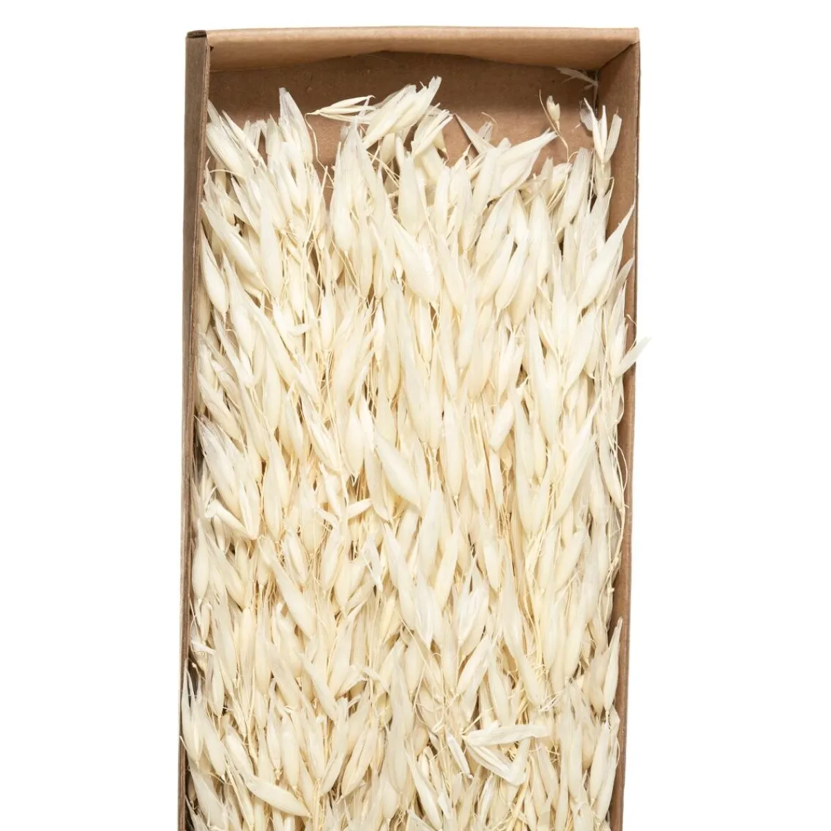 Bouquet fleurs séchées*ATMOSPHERA Online