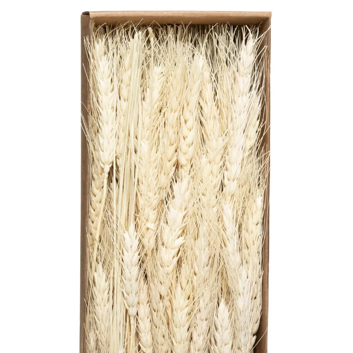 Bouquet fleurs séchées*ATMOSPHERA Online