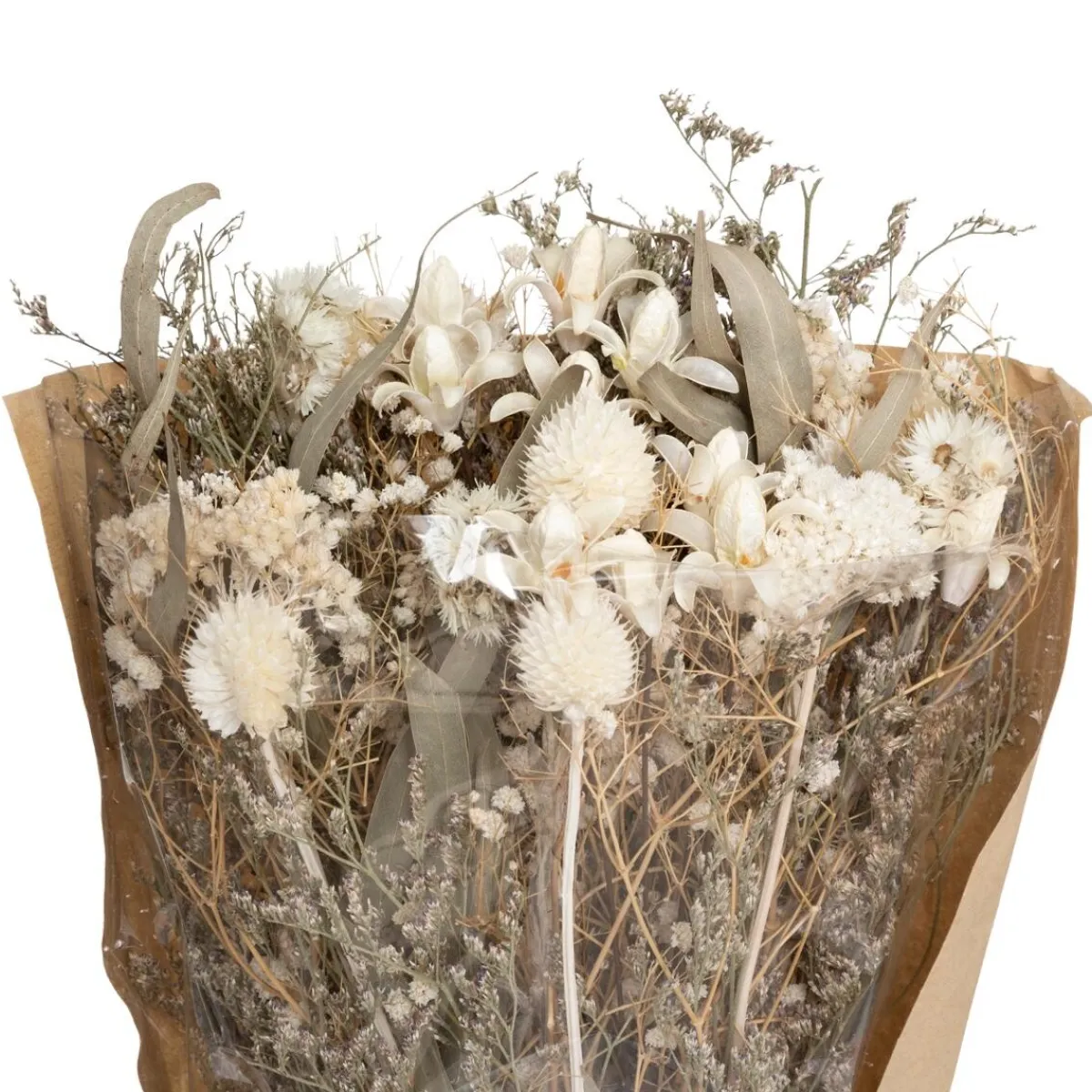 Bouquet fleurs séchées "Eucalyptus"*ATMOSPHERA