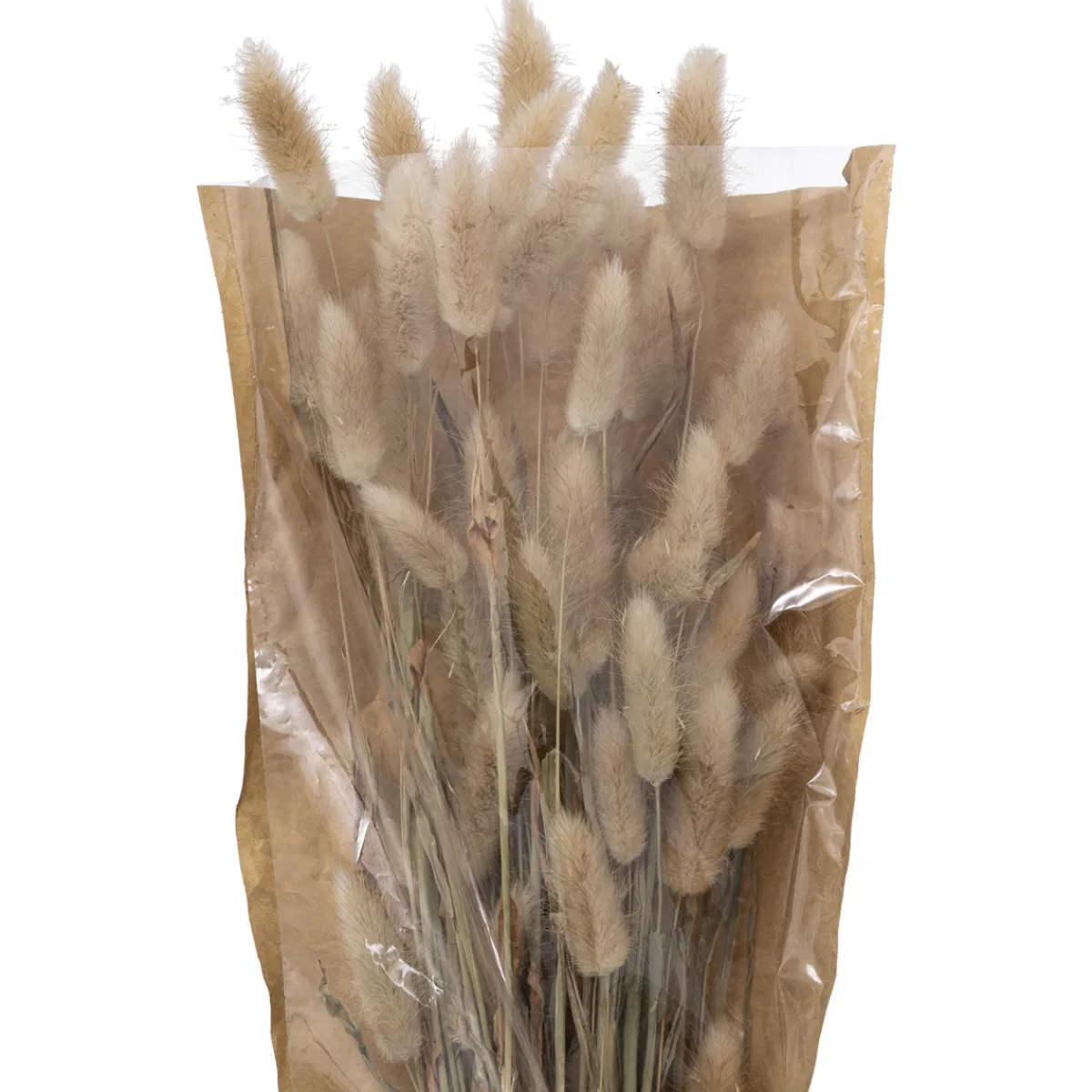 Bouquet fleurs séchées "Ori"*ATMOSPHERA Online