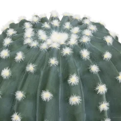 Cactus rond "Exotic Panama"*ATMOSPHERA Sale