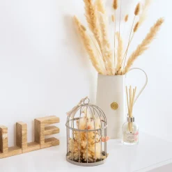 Cage*ATMOSPHERA Outlet