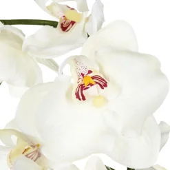 Composition d'orchidées artificielles*ATMOSPHERA