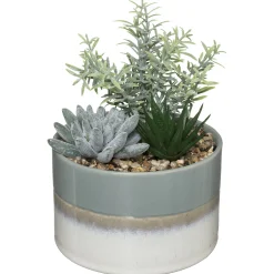 Composition plantes*ATMOSPHERA Best