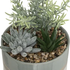 Composition plantes*ATMOSPHERA Best