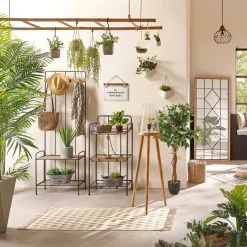 Ficus artificiel*ATMOSPHERA Clearance