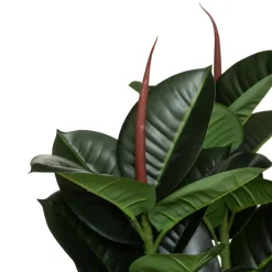 Ficus robusta artificiel H120 cm*ATMOSPHERA