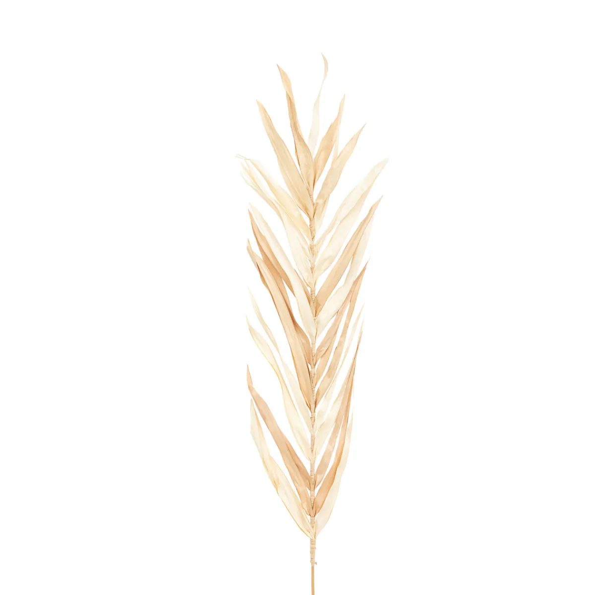 Lot de 3 tiges de palmier "Ova"*ATMOSPHERA Hot