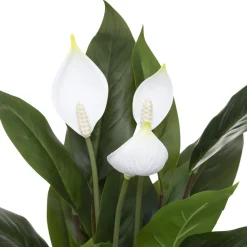 Lys artificiel*ATMOSPHERA Best