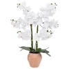 Orchidée artificielle "Dena"*ATMOSPHERA Sale