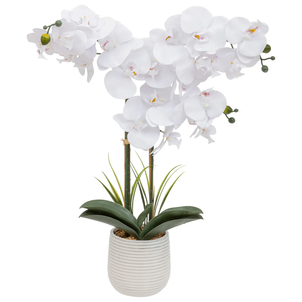 Orchidée artificielle "Riva"*ATMOSPHERA Outlet
