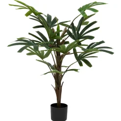 Palmier*ATMOSPHERA Outlet