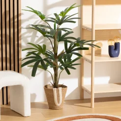 Palmier*ATMOSPHERA Outlet