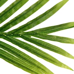 Palmier artificiel*ATMOSPHERA