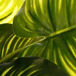 Plante artificielle*ATMOSPHERA Sale