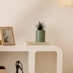 Plante artificielle*ATMOSPHERA Best