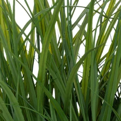 Plante artificielle*ATMOSPHERA Best