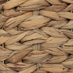 Plante artificielle*ATMOSPHERA Best