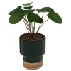 Plante artificielle*ATMOSPHERA Outlet