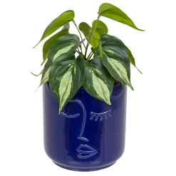 Plante artificielle "Soleya"*ATMOSPHERA Sale