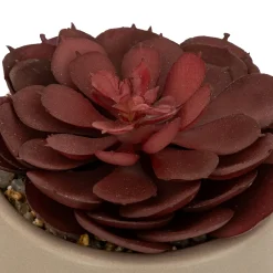 Plante grasse artificielle 