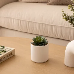 Plante grasse artificielle 