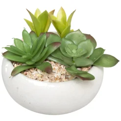 Plante grasse artificielle*ATMOSPHERA New