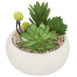 Plante grasse artificielle*ATMOSPHERA New