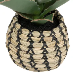 Plante Samouraï articifielle 