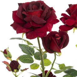 Rosier artificiel*ATMOSPHERA Online