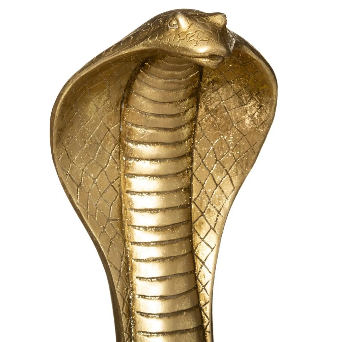 Serpent cobra*ATMOSPHERA