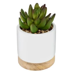 Succulente artificielle*ATMOSPHERA Best