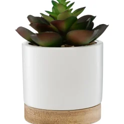 Succulente artificielle*ATMOSPHERA Best