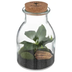 Terrarium "Bota", verre*ATMOSPHERA Hot