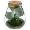 Terrarium "Bota", verre*ATMOSPHERA