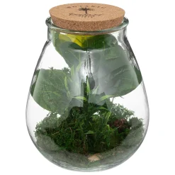 Terrarium "Bota", verre*ATMOSPHERA