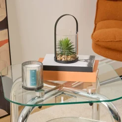 Terrarium "Wilo"*ATMOSPHERA